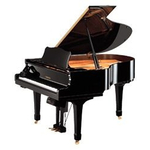 Дісклавір Yamaha DC2A PAW, image 